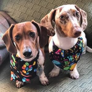 Meet your Posher, Donna